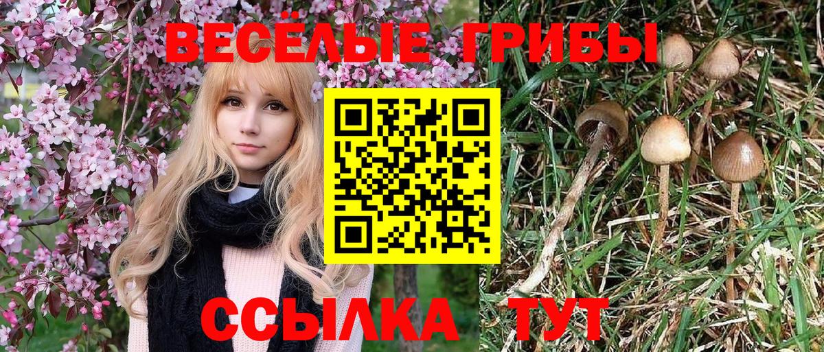Галлюциногенные грибы мицелий Кострома