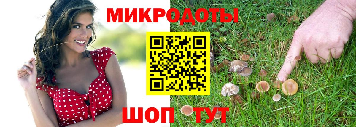 Кострома  Псилоцибиновые грибы MAGIC MUSHROOMS  Вход с VPN 
